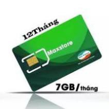 Sim D900 VIETTEL trọn gói 1 năm -7Gb data/ tháng, không cần nạp tiền