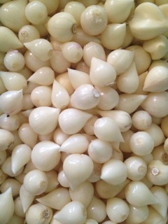 TỎI CÔ ĐƠN LÍ SƠN ( 500g)