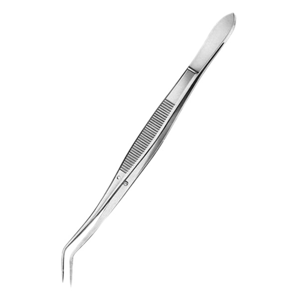 Nhíp nha y tế 16cm hàng Pakistan nhíp cong