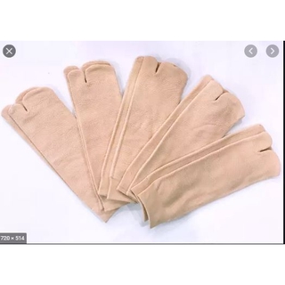 COMBO 10 đôi tất xỏ ngón cotton GVG chất dày đẹp [PK28]