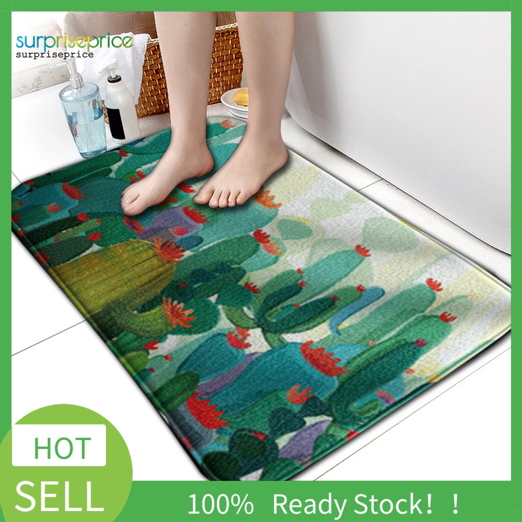 Thảm lót cửa chùi chân siêu nhẹ in hình cây xương rồng trang trí phòng tiện dụng