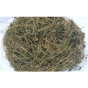 Dây Khổ Qua Rừng 500gram
