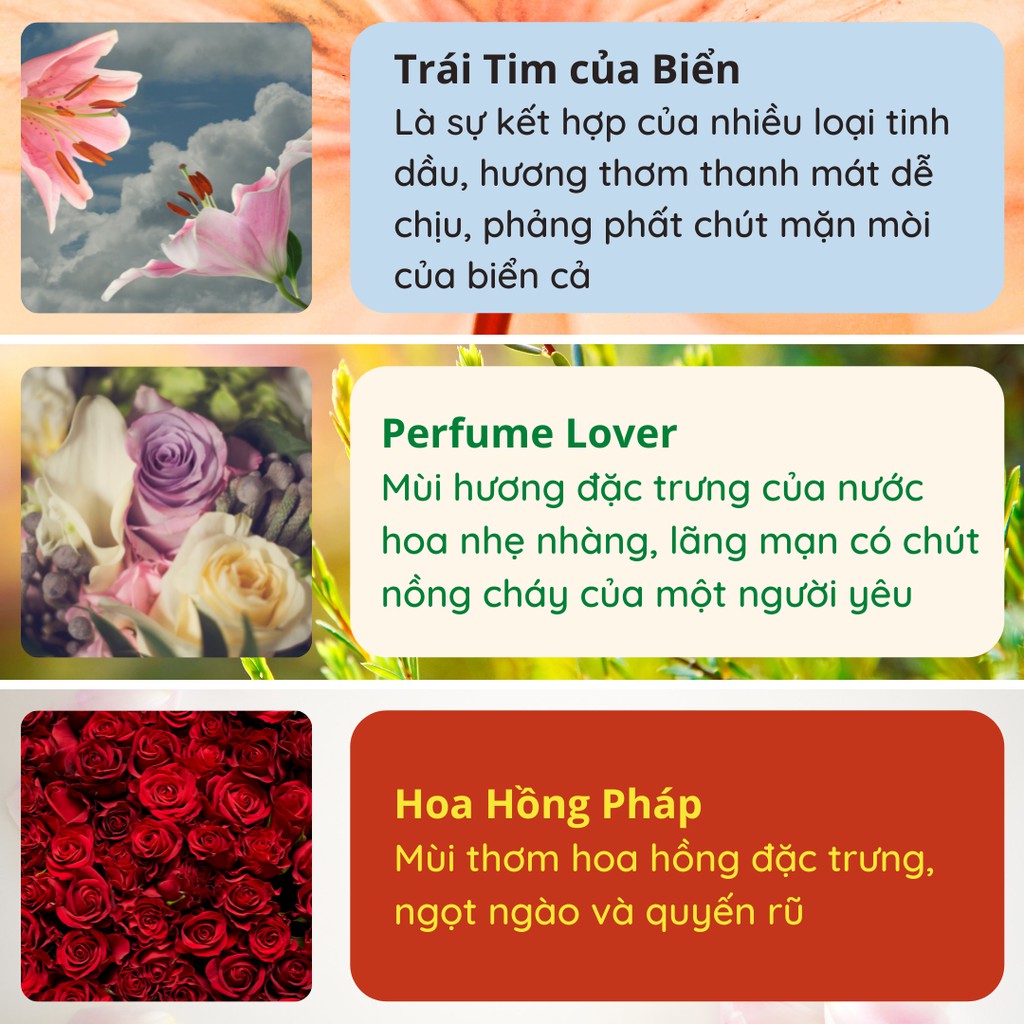 Tinh Dầu Thiên Nhiên Để Phòng Lọ Khuếch Tán Nước Hoa Thơm Phòng Ngủ Thơm Nhà Khử Mùi KT12 KT24