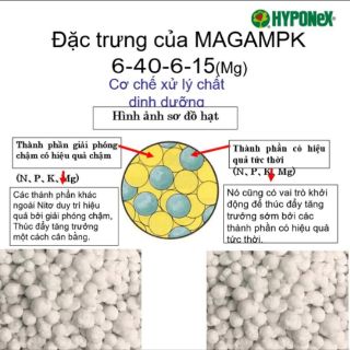 Phân Trắng Tan Chậm Nhật HYPONEX - MAGAMP K - 100g