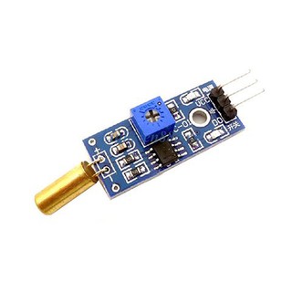 Module Cảm Biến Góc SW-520D