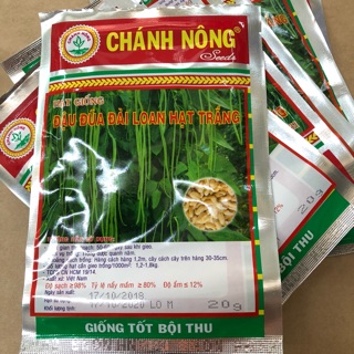 Hạt giống Đậu Đũa (hạt trắng)