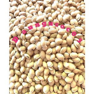 Đậu Ván (Biển Đậu) (1kg)