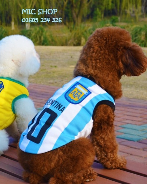 Áo bóng đá Argentina