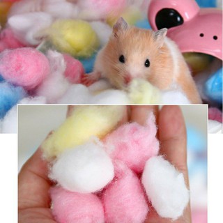 Bông giữ ấm cho Hamster,thỏ,bọ,sóc...