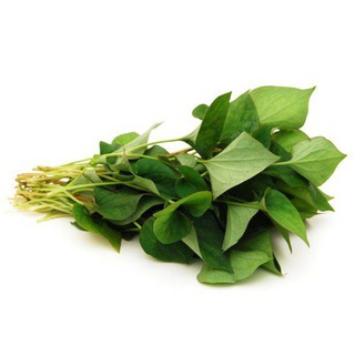 Hạt giống rau Diếp Cá (Dấp Cá)