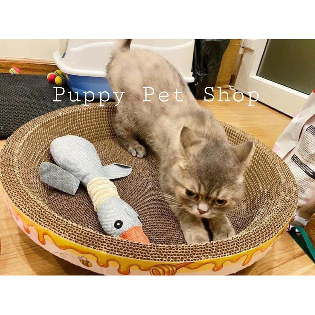 Cào móng giấy ổ tròn