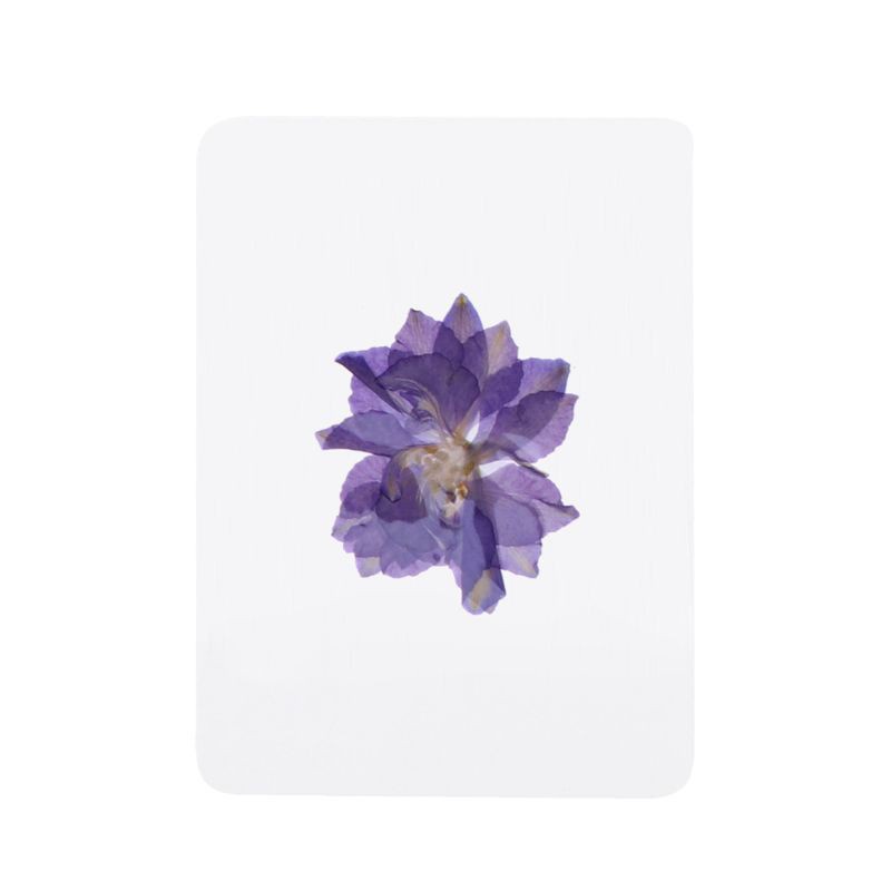 Hoa Lá Ép Khô Dùng Làm Trang Sức Epoxy Resin