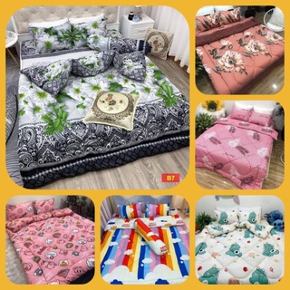 Bộ chăn ga gối 5 món chăn phao , Ga gối nệm cotton