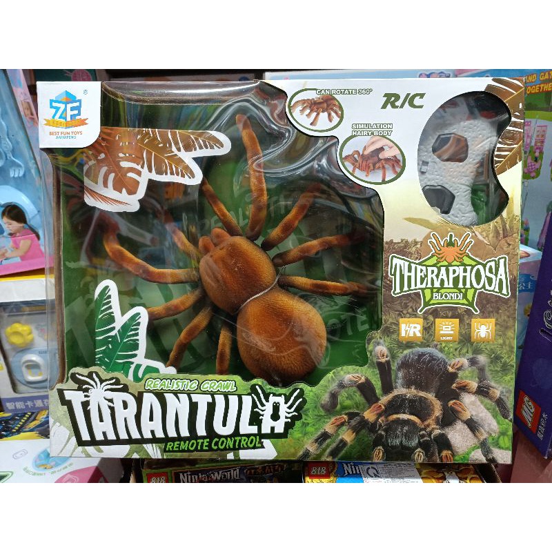 Hộp đồ chơi Con Nhện TARANTULA REMOTE CONTROL điều khiển từ xa, có đèn phát sáng 9986