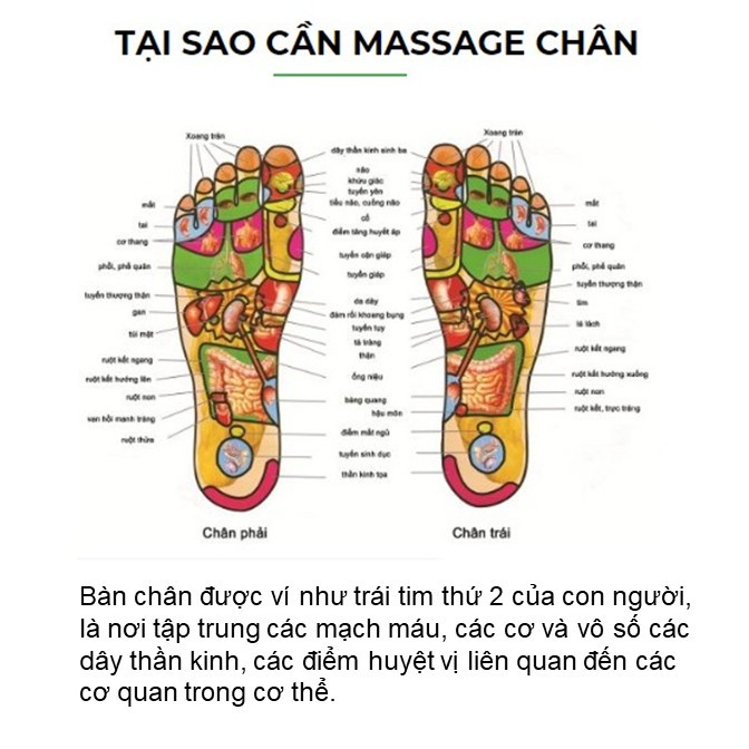 Massage chân gỗ Trần Đình loại lớn 6 hàng dùng cho dân văn phòng, người lớn tuổi để mát xa chân, giảm tê chân