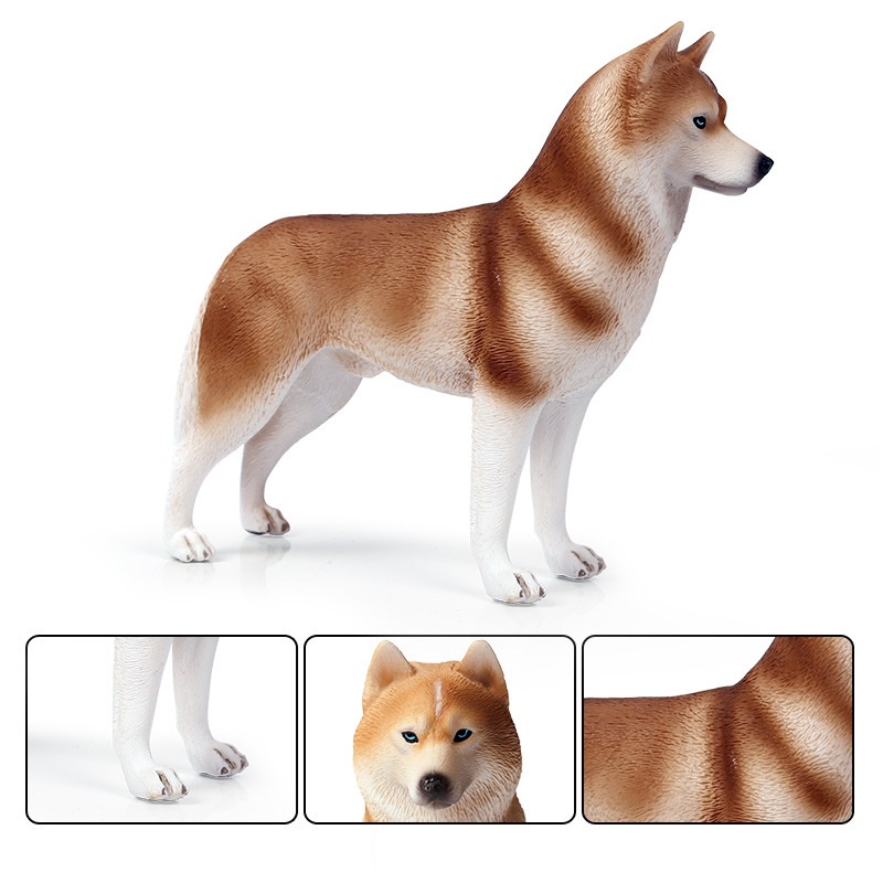 1053 Mô hình chó Husky siêu đẹp