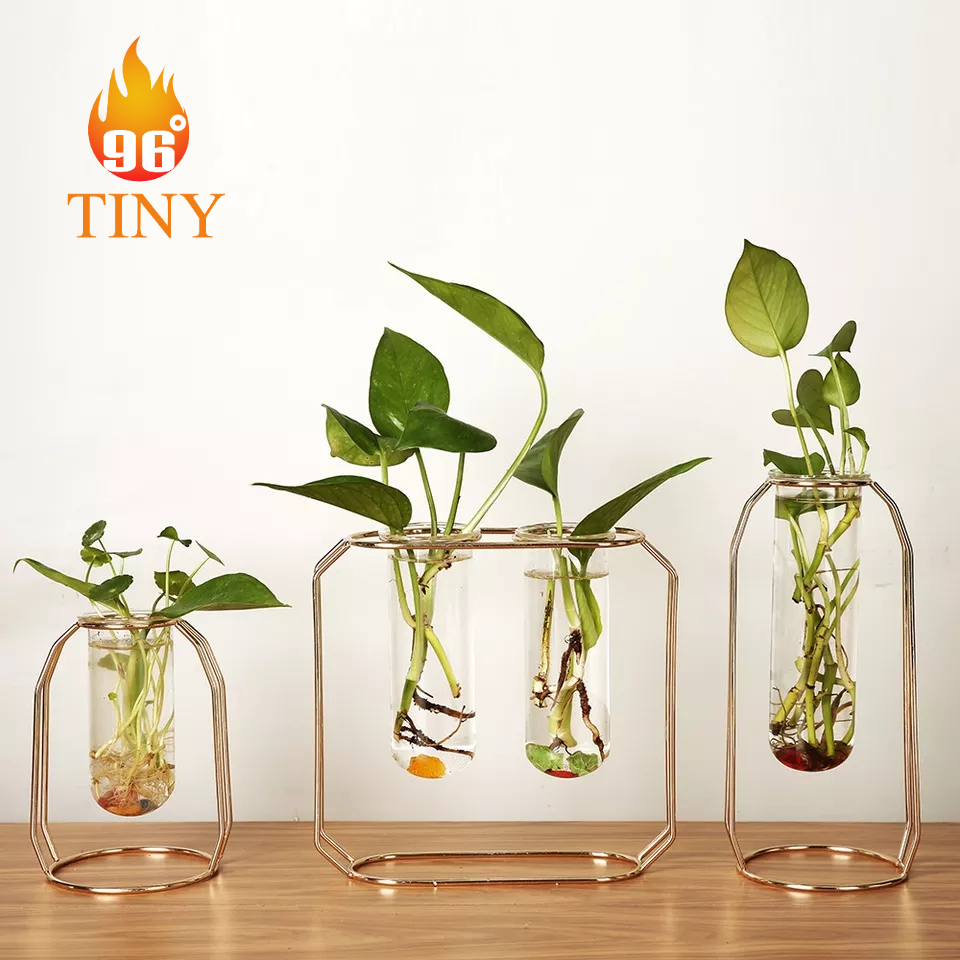 Bình thủy tinh cắm hoa, trồng cây thủy sinh, trang trí để bàn, phong cách sang trọng, cao cấp, bền, đẹp, giá rẻ