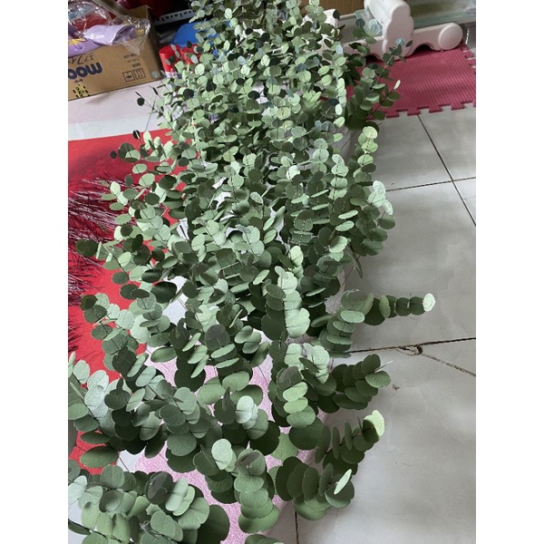 Lá táo giấy lá bạc