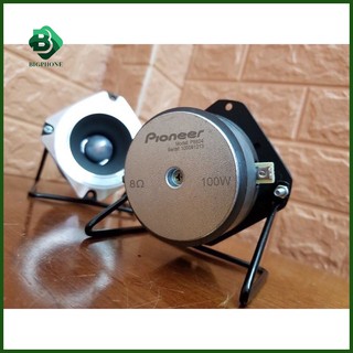 Loa treble Pioneer P8804