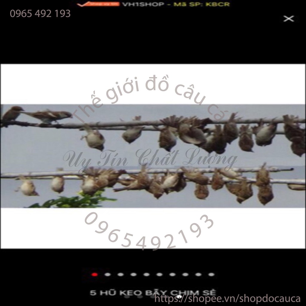 5 lọ keo bẫy chim ( rẻ vô địch )