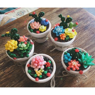 Sen đá Handmade [ĐẤT SÉT NHẬT CAO CẤP] Đẹp - Bền - Giá tốt