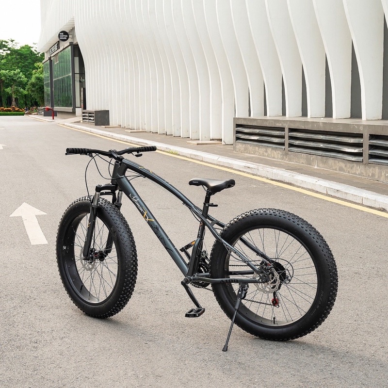 xe đạp bánh béo A100 đặc biệt.đã lên đủ chắn bùn và yên sau(mua về sử dụng giờ không có thời gian để đi)