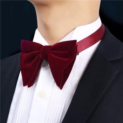 Nơ Cài Cổ Dùng Làm Phụ Kiện Chụp Ảnh Dành Cho Nam Nữ
