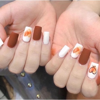 Nailbox thiết kế