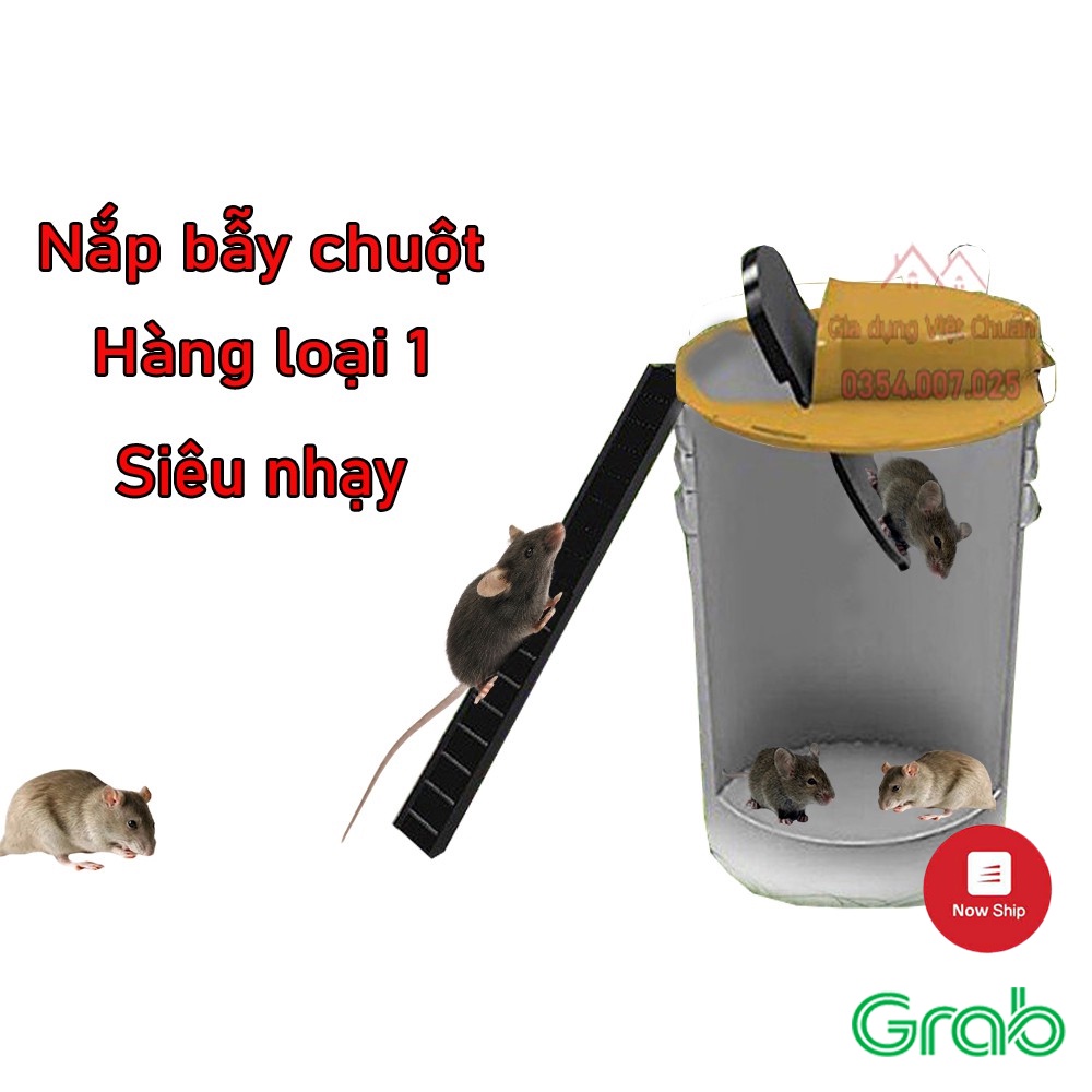 Bẫy chuột bập bênh thông minh siêu bắt chuột GD40