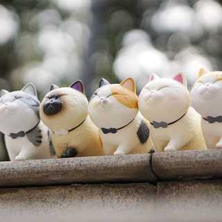 Mô hình mèo đi bộ size lớn