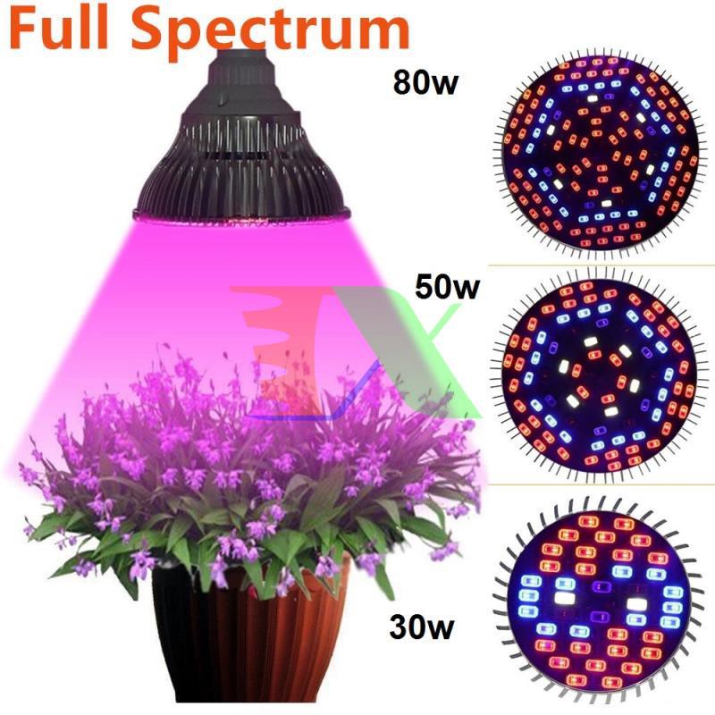 Đèn Led trồng cây, Đèn led trồng rau trong nhà, Led grow lights (30W, E27)