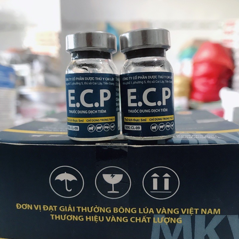 ECP kích thích lên giống chó mèo, rối loạn sinh sản 5ml