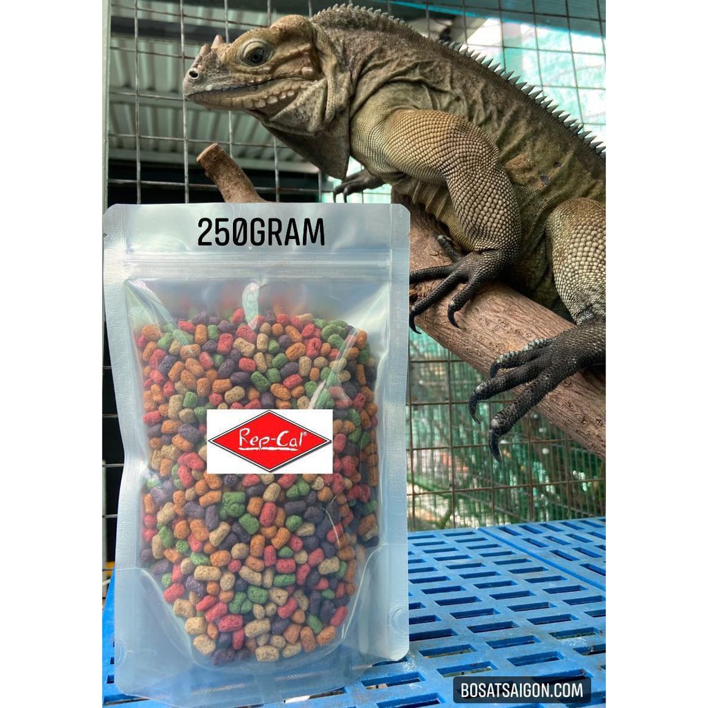 THỨC ĂN KHÔ REPCAL ADULT BÒ SÁT IGUANA RỒNG NAM MỸ DABB LIZARD RÙA CẠN SULCATA INDIA RED FOOT RỒNG ÚC BD giá rẻ sĩ.
