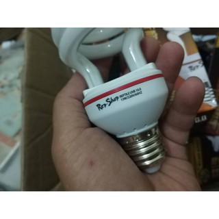 Đèn UVB 10.0 và UVB 5.0 dành cho bò sát