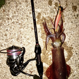 [SIÊU DÍNH] MỒI TÔM CÂU MỰC EGI KING, mồi tôm giả phản quang phát sáng câu mực ống, mực lá hiệu quả