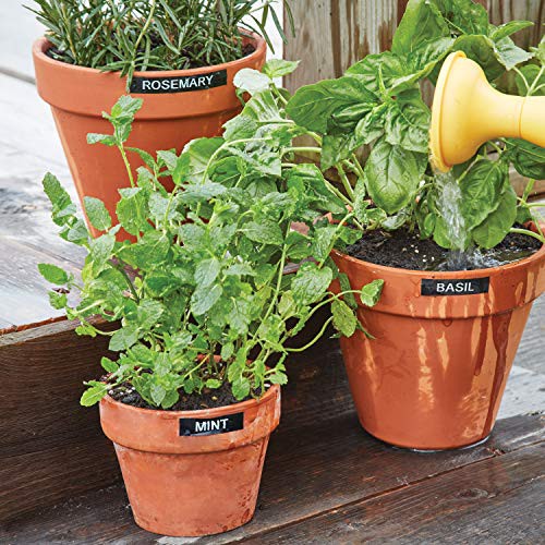 Máy in nhãn đa năng DYMO Label Manager 160 (chính hãng) | BigBuy360 - bigbuy360.vn