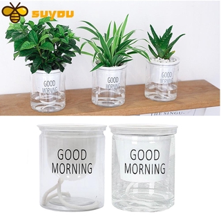 Chậu Hoa Thủy Canh Bằng Nhựa Hình Tròn Trong Suốt Thấm Hút Nước Chất Lượng Cao