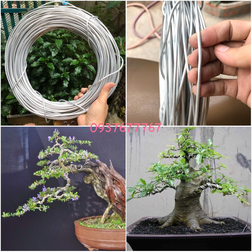 Dây nhôm trần quấn cây cảnh chuyên dùng uốn cây bonsai, cây cảnh 2ly - 3ly - 4ly - 5ly