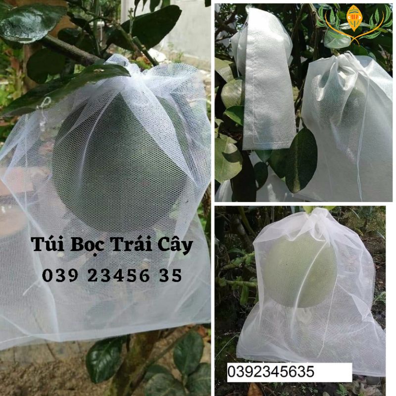 100 cái 35*40cm Túi Tốt Bọc Bưởi Diễn,Bưởi Da Xanh, Dưa Lưới,Mãng Cầu Gai Chống Ruồi Vàng Hiệu Quả