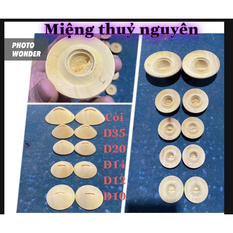 Miệng sáo dàn thuỷ nguyên giá rẻ