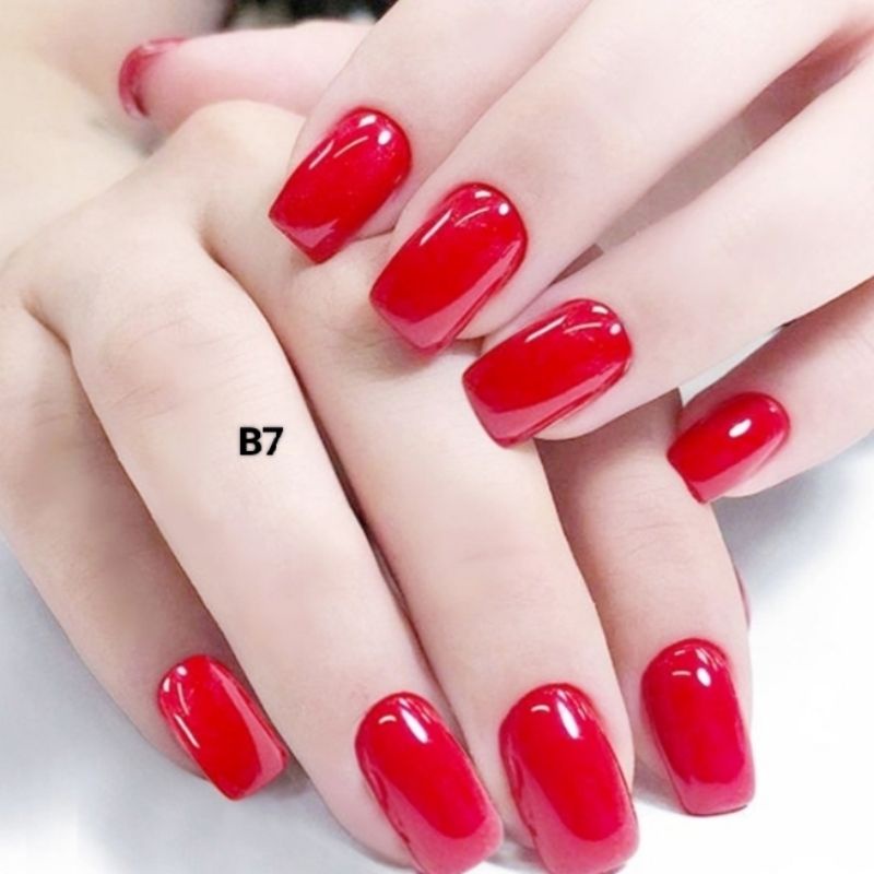 Móng tay giả Belly nails 24 móng giả nail box kèm keo