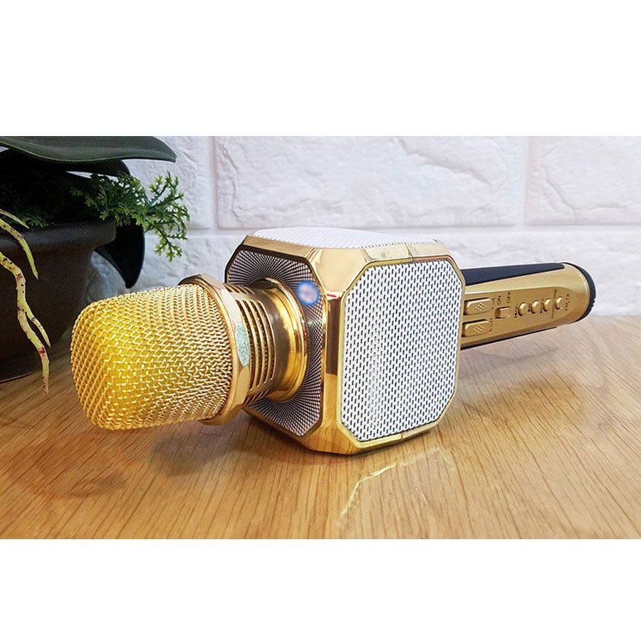 Mic hát karaoke SD10 ( giao màu ngẫu nhiên. )