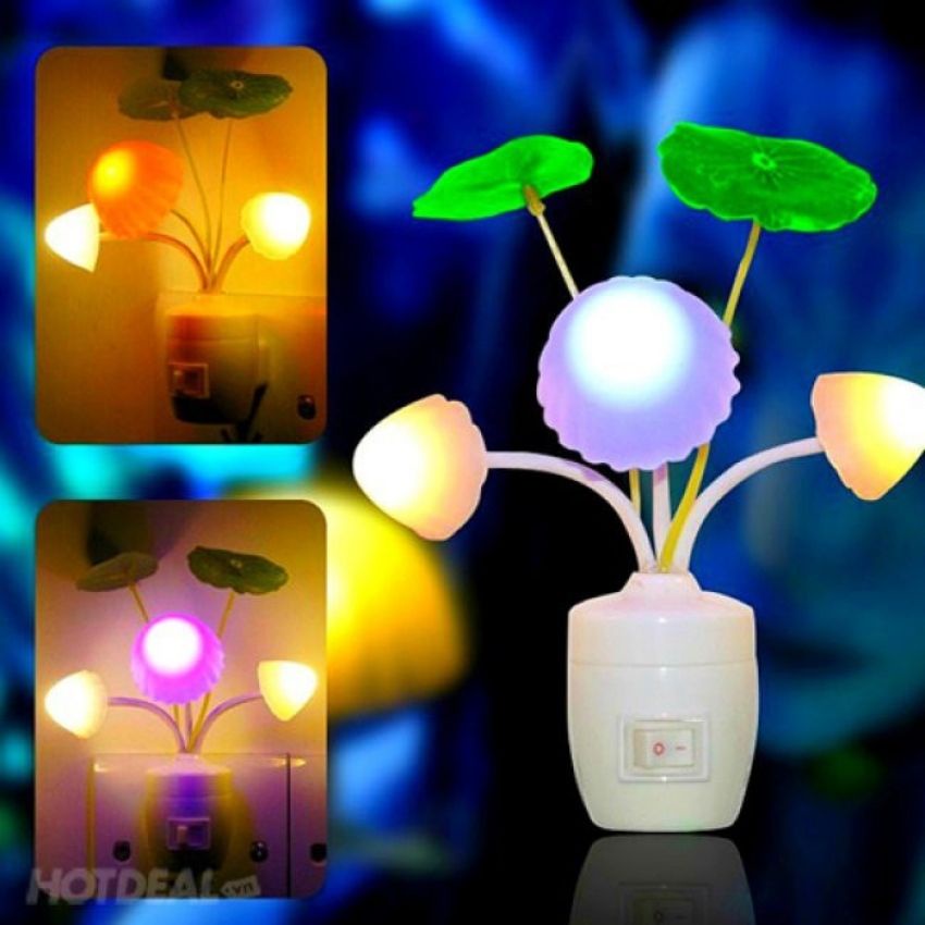 ĐÈN NGỦ CÂY NẤM ĐỔI MÀU THÔNG MINH CẢM BIẾN ÁNH SÁNG  ĐÈN NGỦ TRANG TRÍ NĂM 2022