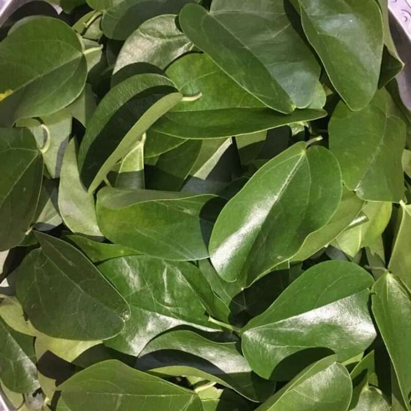 Lá sương sâm trơn tươi trồng hữu cơ 500g