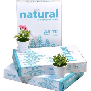100 TỜ GIẤY IN/ VẼ A4 NATURAL (70 GSM)