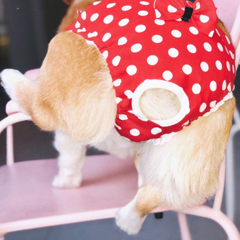 Quần Tã Lót Sinh Lý Có Thể Giặt Sạch Dành Cho Cún Cưng