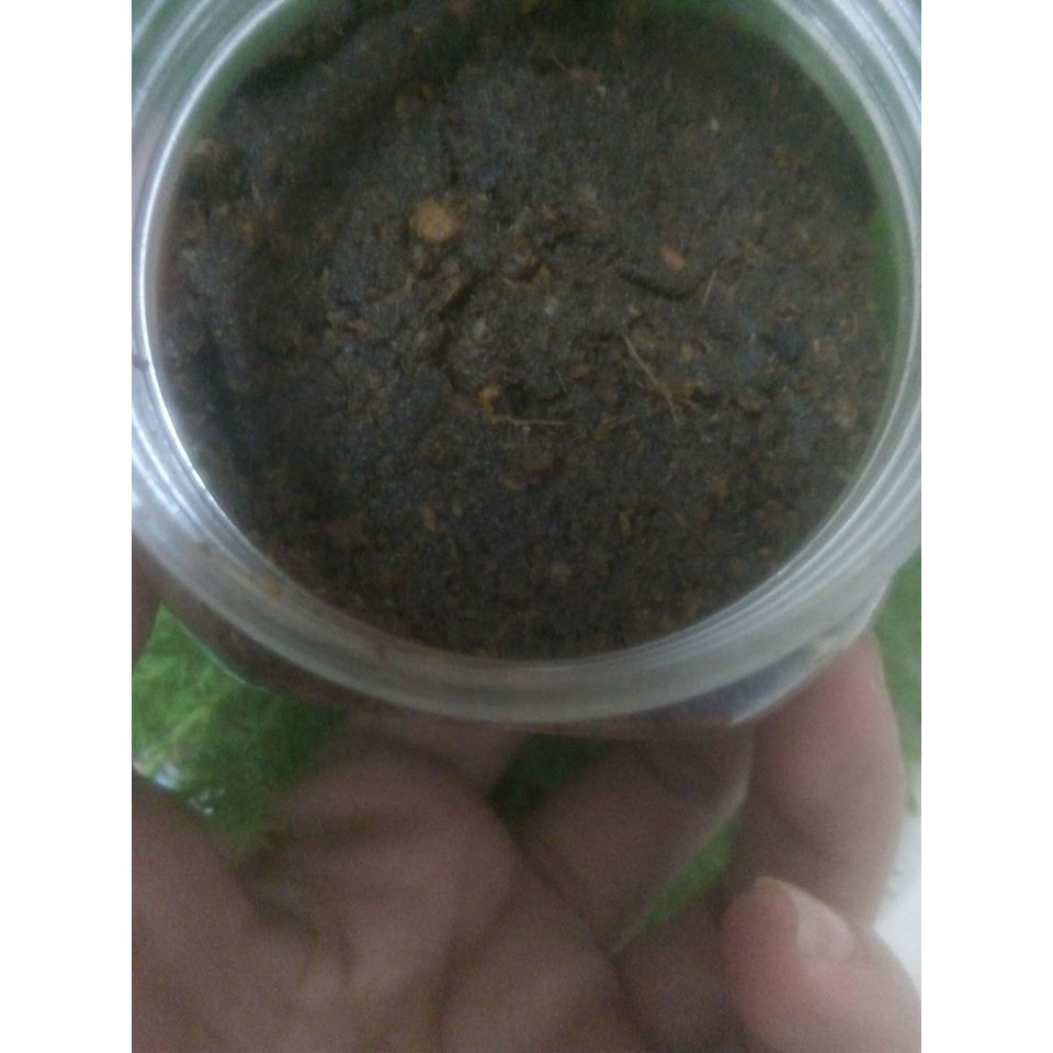 Takke thực dưỡng