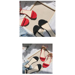 XĂNG ĐAN BỆT Quảng Châu order mã 645