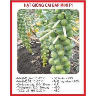 Combo hạt giống TÙY CHỌN!!!