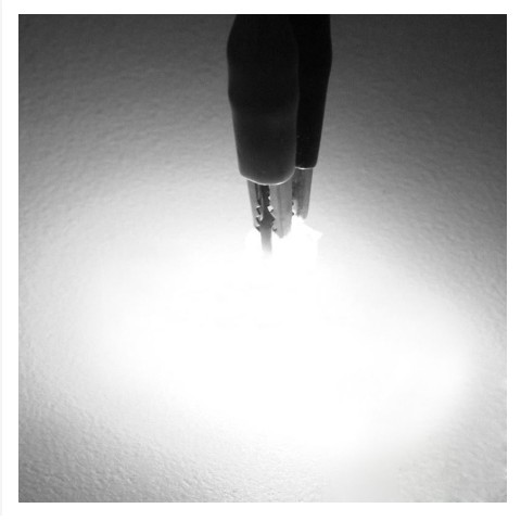 Đèn Led soi biển số _ Led trần Led mí chân T10 cho ô tô xe hơi siêu sáng - LOẠI CHÂN NGẮN | BigBuy360 - bigbuy360.vn